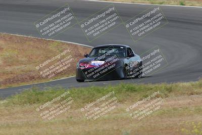 media/May-04-2024-Lucky Dog Racing (Sat) [[d39539b3f3]]/Race Pics/1015am (Turn 2)/